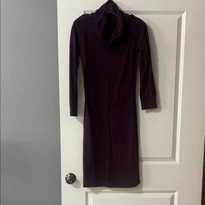 Echo Verde Purple Dress